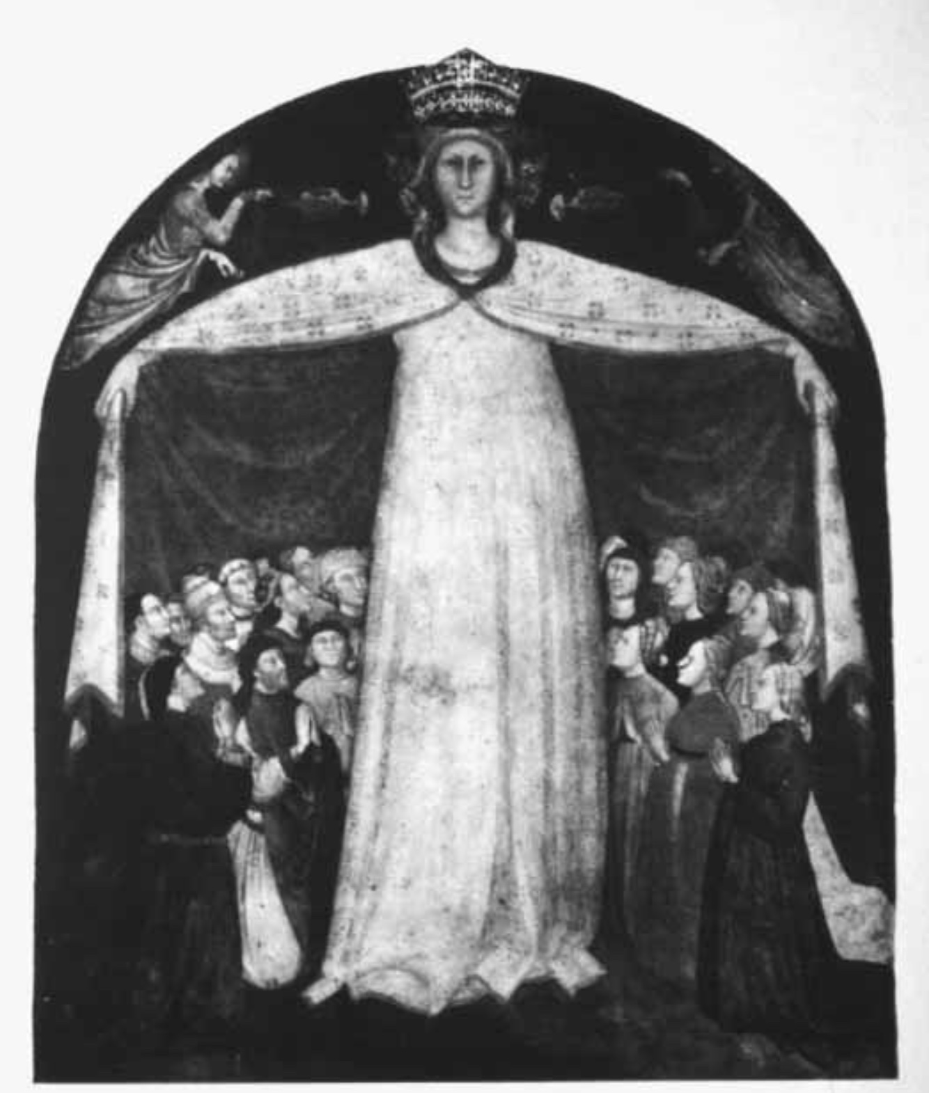 spinelli madonna