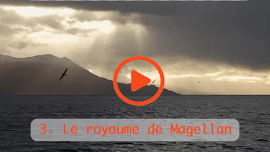 Le royaume de Magellan