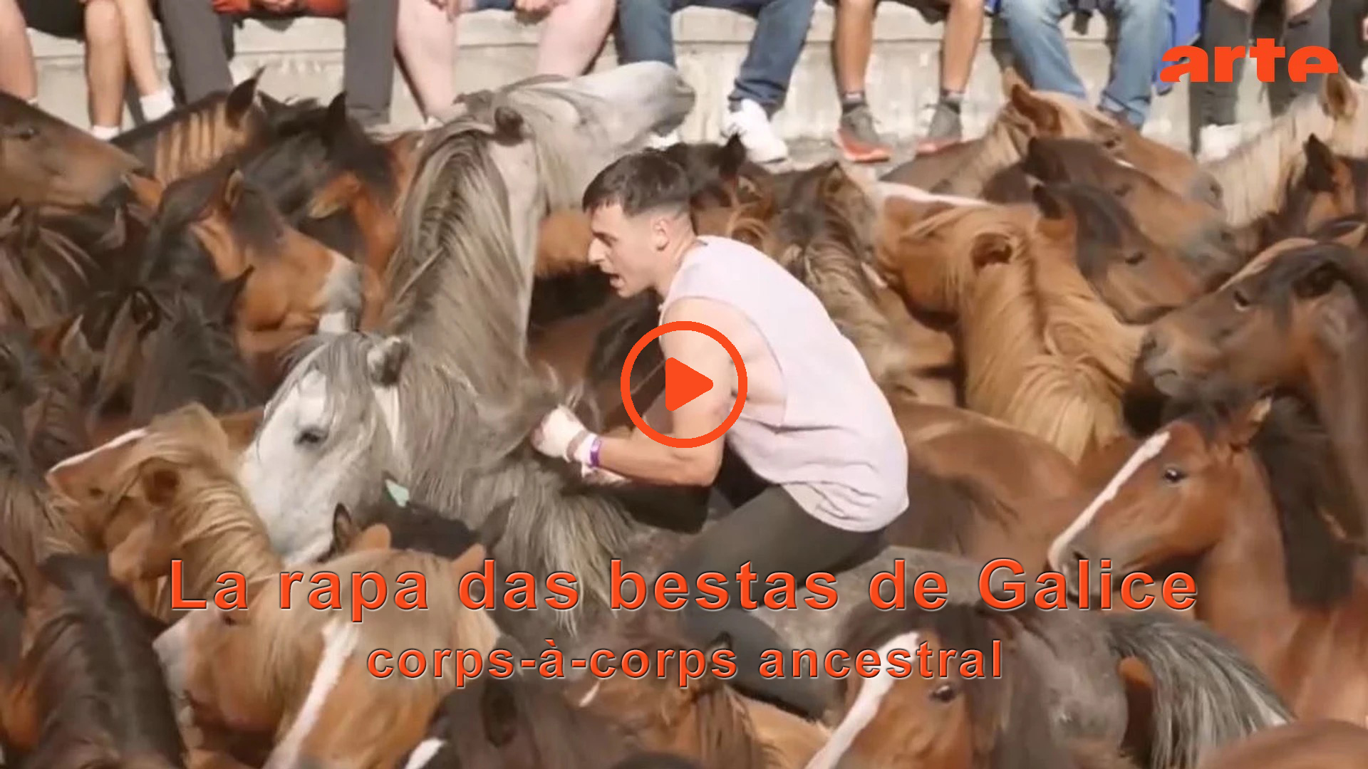 la rapa das bestas start