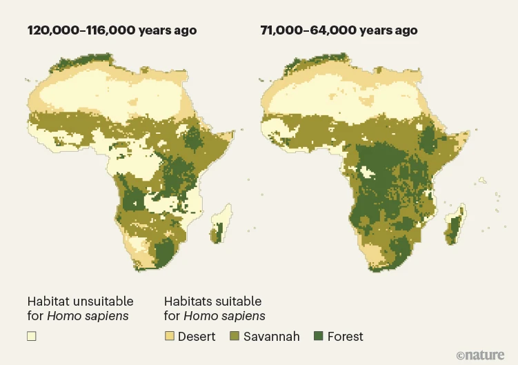 Homo sapiens adapted fig1